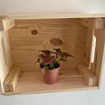 Cosy En Centre Avec Et Jardin * Dijon