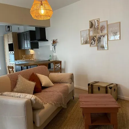 アパート Cosy En Centre Avec Et Jardin ディジョン