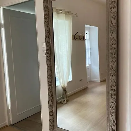 Cosy En Centre Avec Et Jardin Dijon