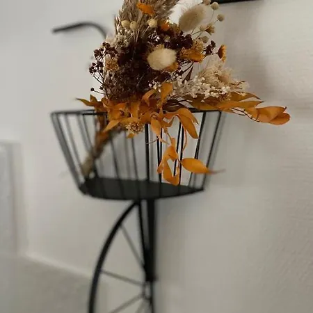 Cosy En Centre Avec Et Jardin Apartment *