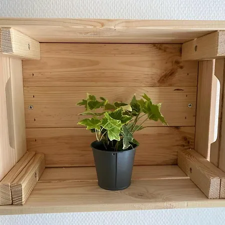 Cosy En Centre Avec Et Jardin Dijon