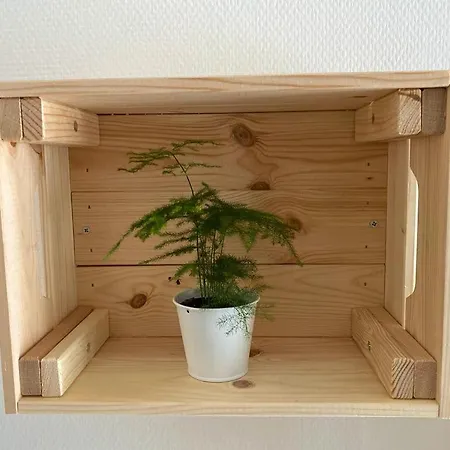 Cosy En Centre Avec Et Jardin Dijon