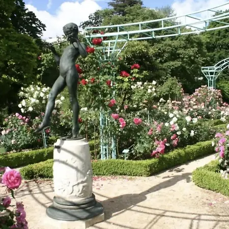 Daire Cosy En Centre Avec Et Jardin