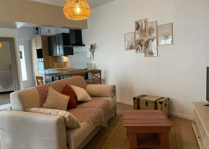 Apartmán Cosy En Centre Avec Et Jardin Dijon