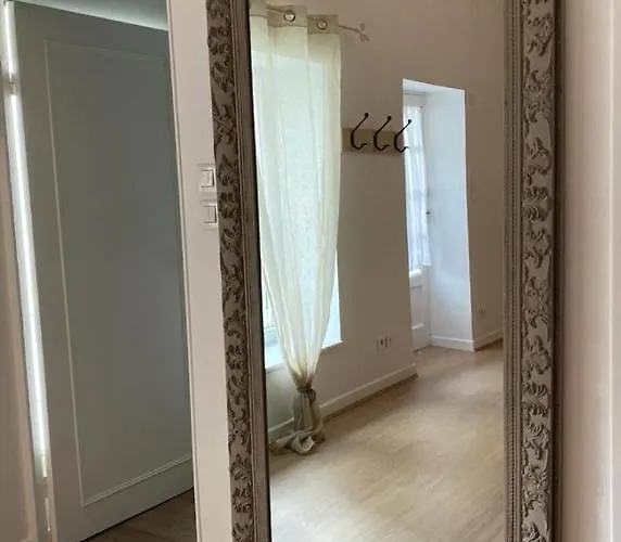 Cosy En Centre Avec Et Jardin Dijon