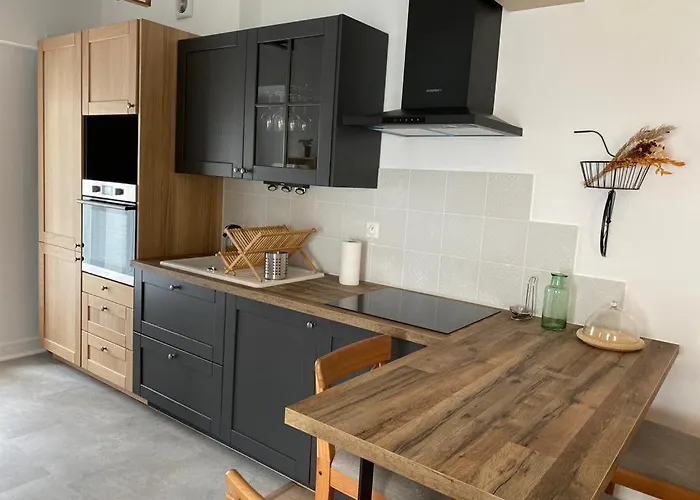 Cosy En Centre Avec Et Jardin Apartmán Dijon