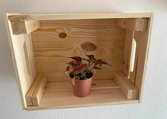 Cosy En Centre Avec Et Jardin * Dijon