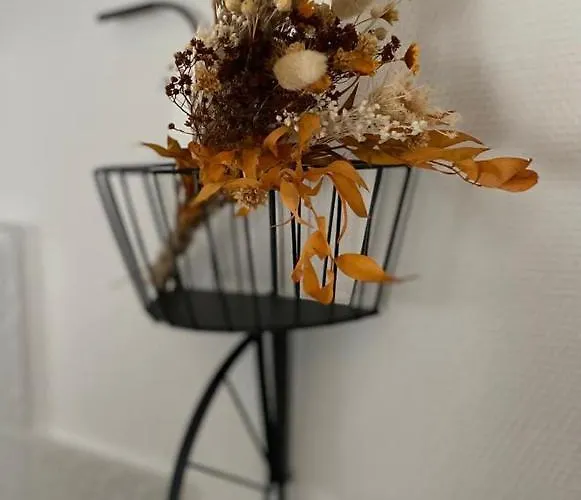 Cosy En Centre Avec Et Jardin Apartmán *