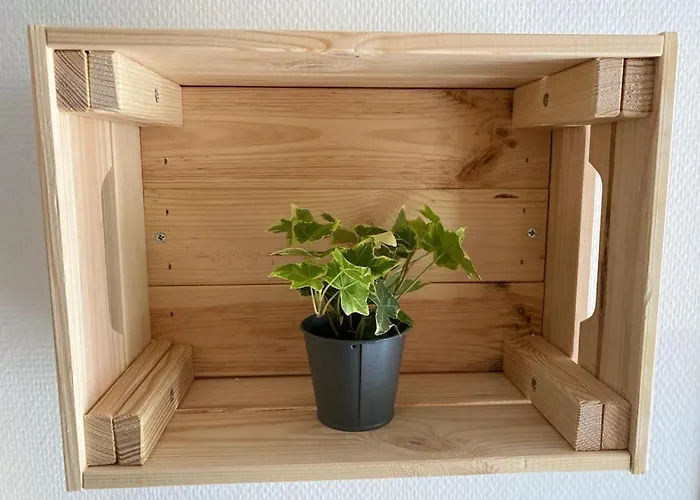 Cosy En Centre Avec Et Jardin Dijon