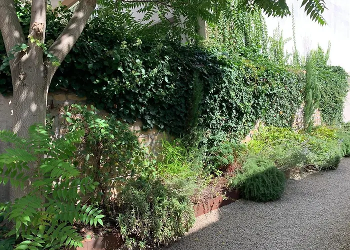 Cosy En Centre Avec Et Jardin