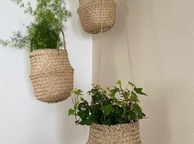 Cosy En Centre Avec Et Jardin Apartmán Dijon