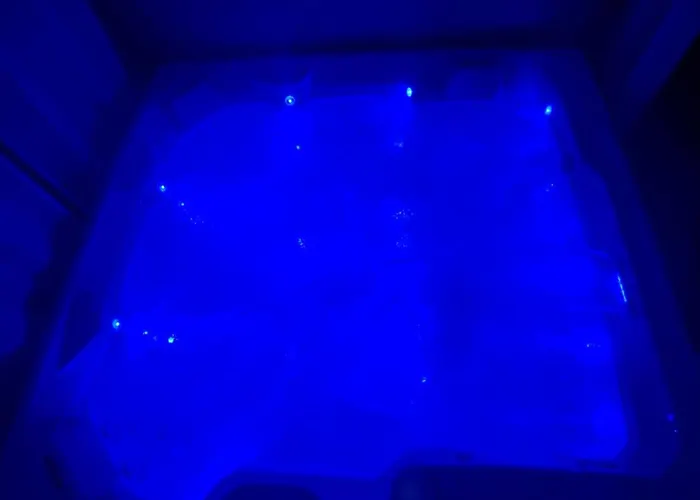 Cosy En Centre Avec Et Jardin Dijon